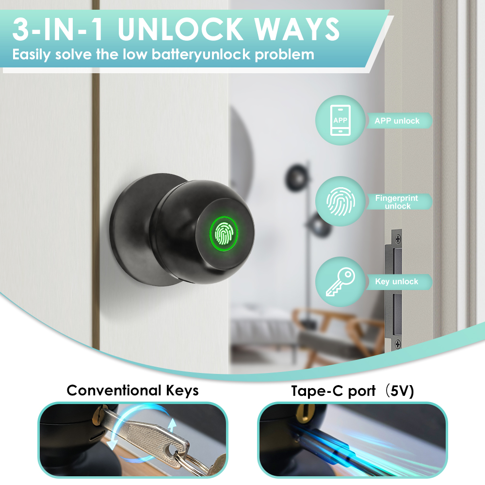 Tuya 電子ドアロック スマート外部ドアロック 指紋キー  - Door Handle Bar のレビューと価格